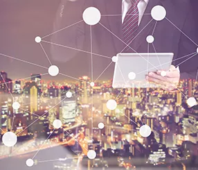 Ecosystem Engineering  Insights Image 2