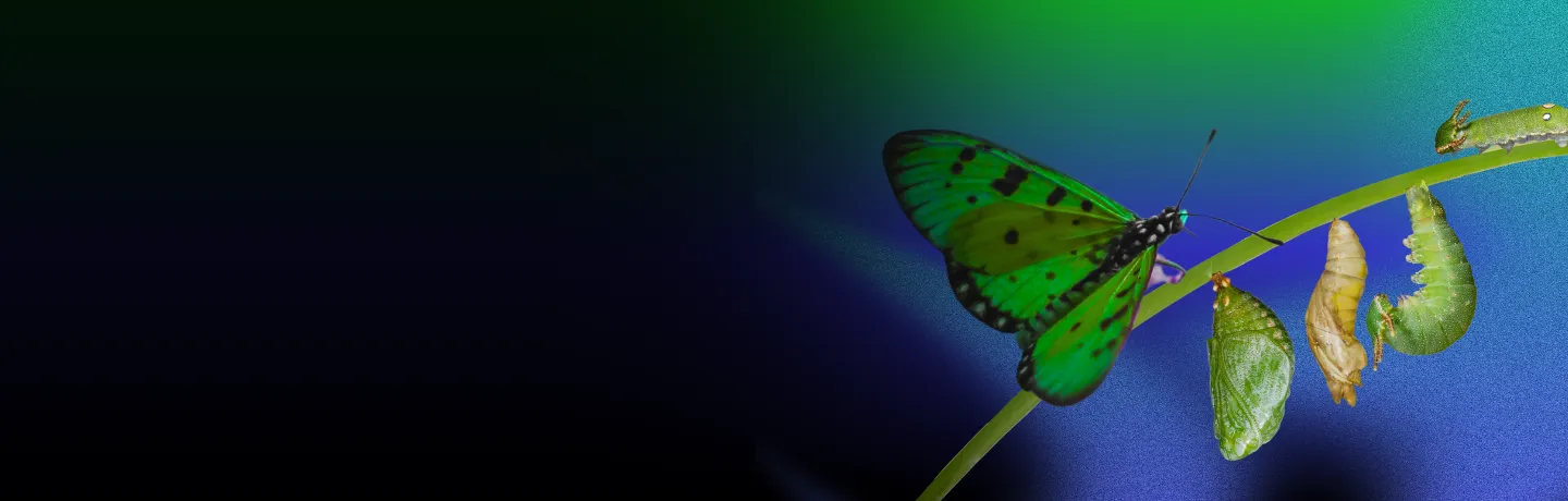 Six Requirements for Enterprise AI Transformation