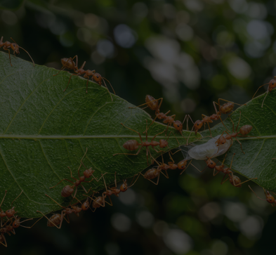 Architecting Trust: Building an AI Evaluation Pipeline