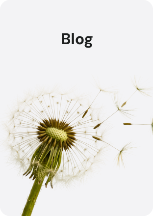 Blog