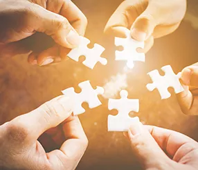 Ecosystem Engineering  Insights Image 1