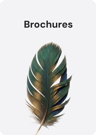 Brochures