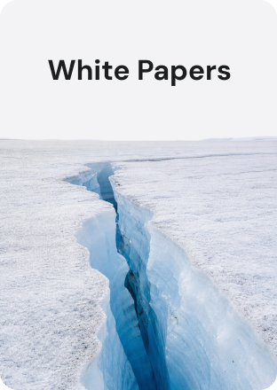 White Papers
