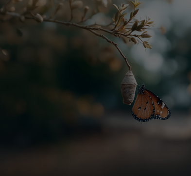 Best Practices for Designing and Developing an AI Solution