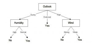 Decision Trees modified